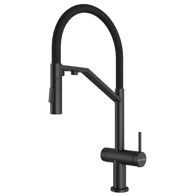 смеситель для кухни paulmark zender ze213155-blm черный